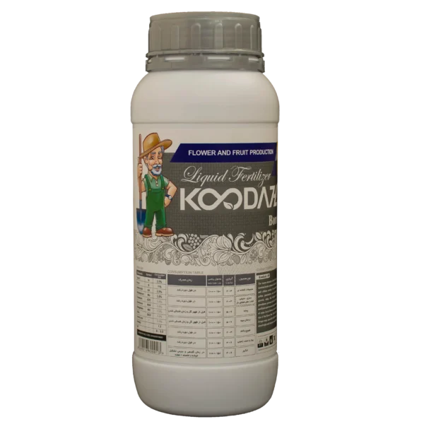 koodazh 109 - Boron بور کود بور