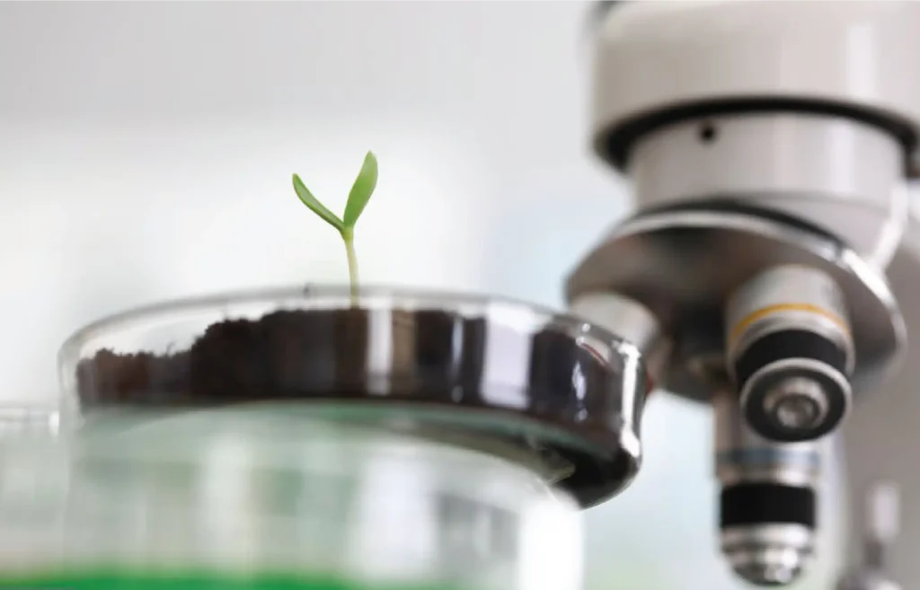 -Modern agriculture research lab-Kimia Kesht Pargas